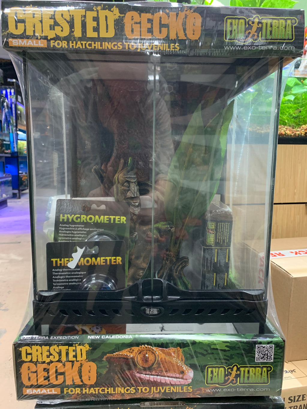 Crested gecko starter store kit