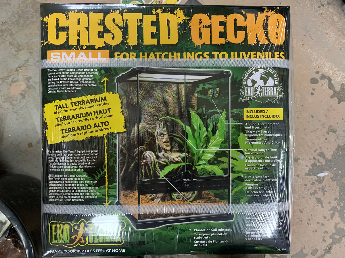 Exo Terra Crested Gecko Habitat Starter Kit Small 30 x 30 x 45