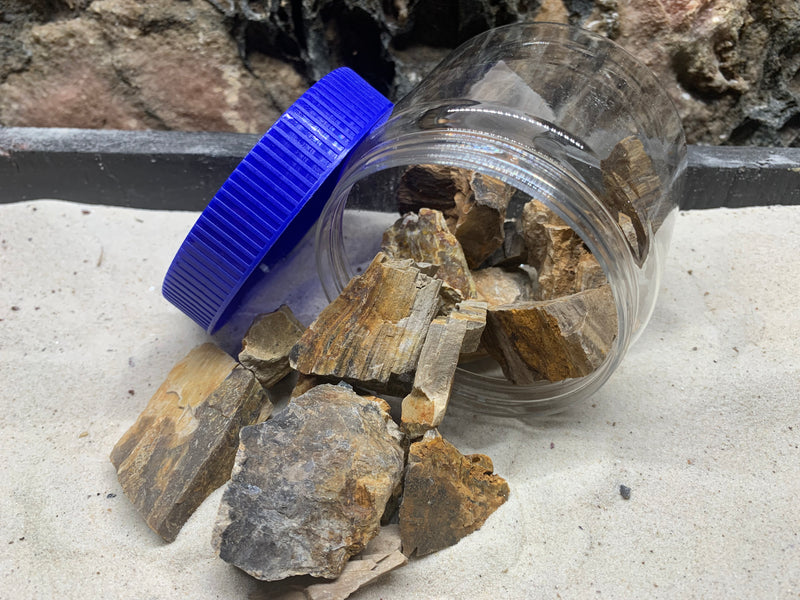 Petrified Wood Rock Pieces Jar - Great For Nano Tanks..