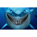 Penn Plax Finding Nemo Bruce 20 gal. Tank Background  23 1/2" x 15 3/4"
