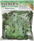 FLUKERS Repta-Vines - English Ivy - 6ft with suction cups