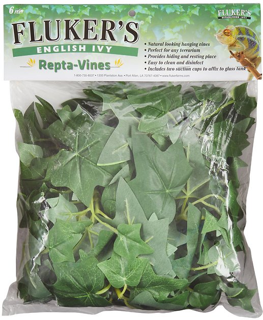 FLUKERS Repta-Vines - English Ivy - 6ft with suction cups