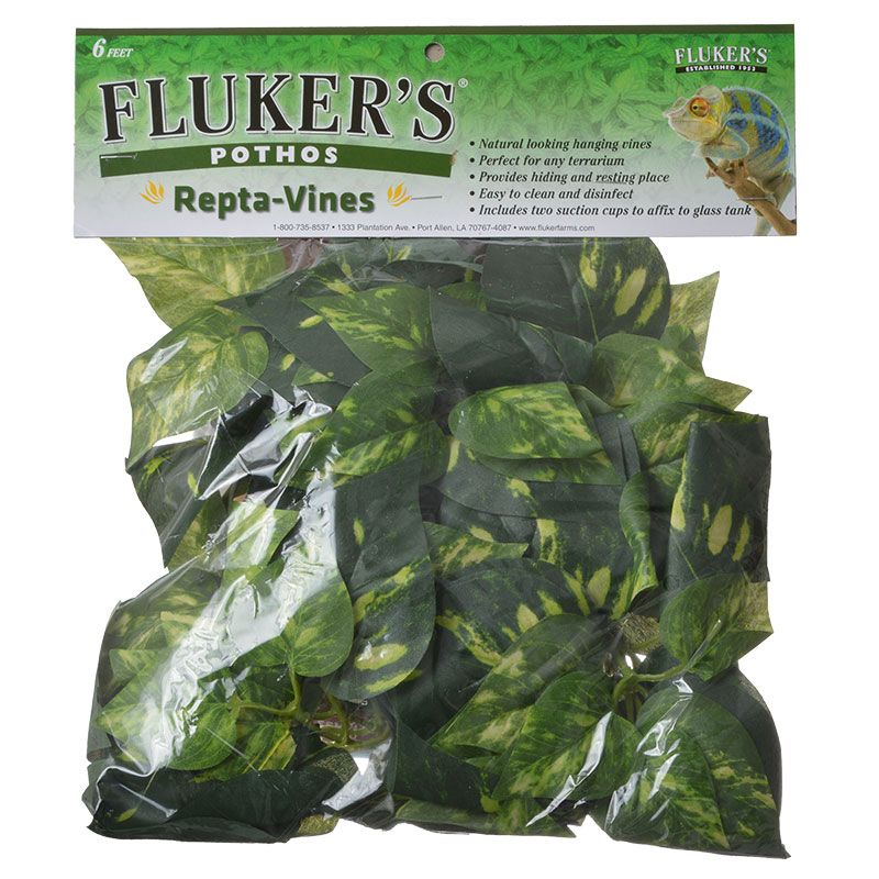 FLUKERS Repta-Vines - Pothos - 6ft with suction cups