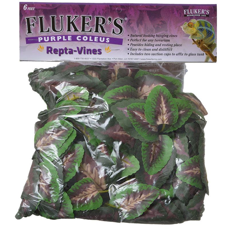 FLUKERS Repta-Vines - Purple Coleus - 6ft with suction cups