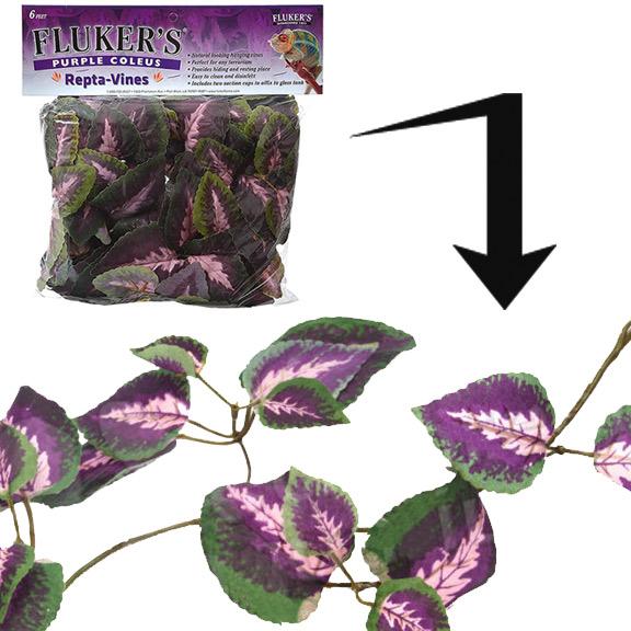 FLUKERS Repta-Vines - Purple Coleus - 6ft with suction cups