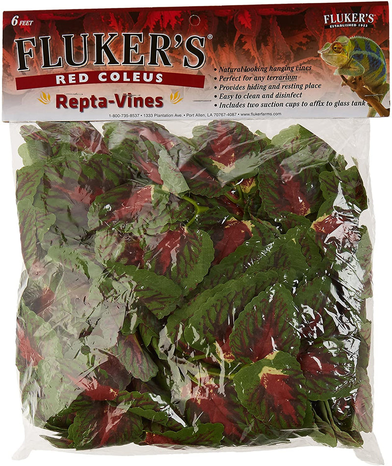 FLUKERS Repta-Vines - Red Coleus - 6ft with suction cups