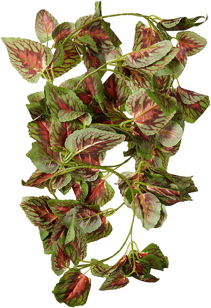 FLUKERS Repta-Vines - Red Coleus - 6ft with suction cups