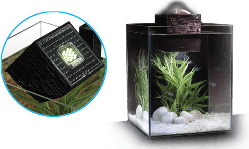 FLUVAL Chi Aquarium Kit 5 US Gal 19 L Black