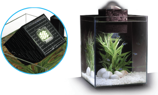 Fluval chi best sale aquarium kit