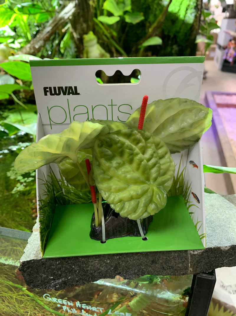 Fluval Lotus - Small - 10 cm (4in) with Base