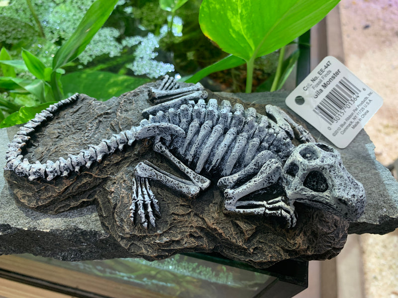 Blue Ribbon EXOTIC ENVIROMENTS Fossil Finds GILA MONSTER SKELETON