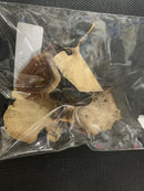 Jurassic Reptile Products - Golden Mushroom ( Bio Active )