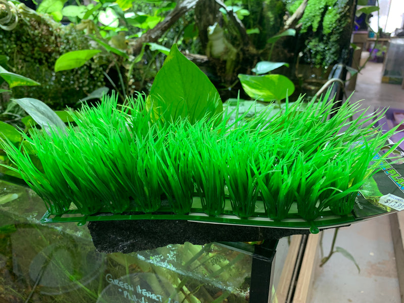 Hairgrass Mat - 10"