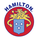 HAMILTON  PRONG COLLAR FOR DOGS 3.2 MM - 10" to 16"