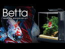 Fluval Betta Premium Aquarium Kit 2.6 US Gal / 10L - LED - Pre-Set Betta Heater