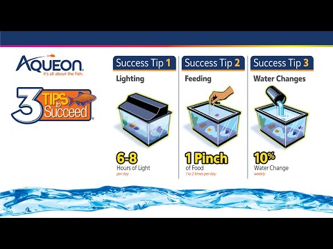  Aqueon Aquarium Fish Tank Starter Kit with LED