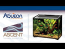 AQUEON Ascent Frameless Aquarium Kit - 10 gal - DOES NOT SHIP -