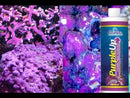CaribSea Purple Up ~ 473ml - Coralline Algae Accelerator - For Saltwater Aquariums