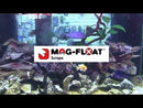 Mag-Float Floating Acrylic Aquarium Cleaner - Large