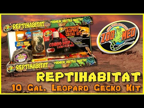 Zoo Med ReptiHabitat Leopard Gecko Kit - Main Image