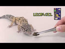 Hikari Herptile LeopaGel 60g - Ready To Use Gel For Insect-Eating Reptiles