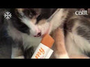 Catit Creamy Lickable Cat Treat - Multi-Flavour - Gift Jar - 72 x 15 g