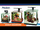 Aqueon Edgelit 3g Cube Aquarium