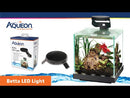 Aqueon Betta LED Light - 2 LED Modes - Designed for Nano and Desktop Tanks