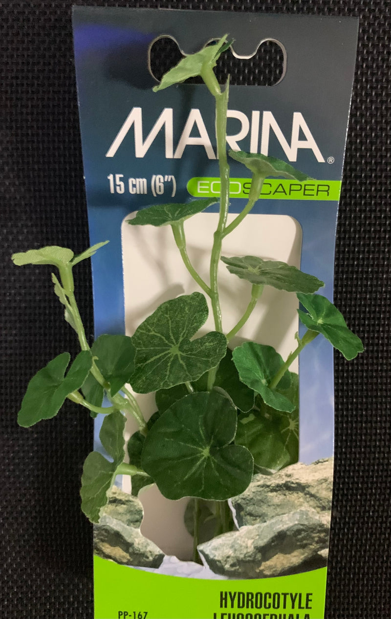 Marina EcoScaper Hydrocotyle Leucocephala Silk Plant, 15cm (6Inch) PP
