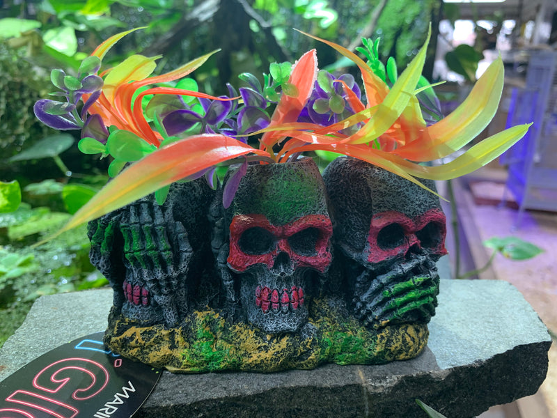 Marina iGlo Ornament - 3 Skulls with Plants - Small - 14 cm (5.5 in)