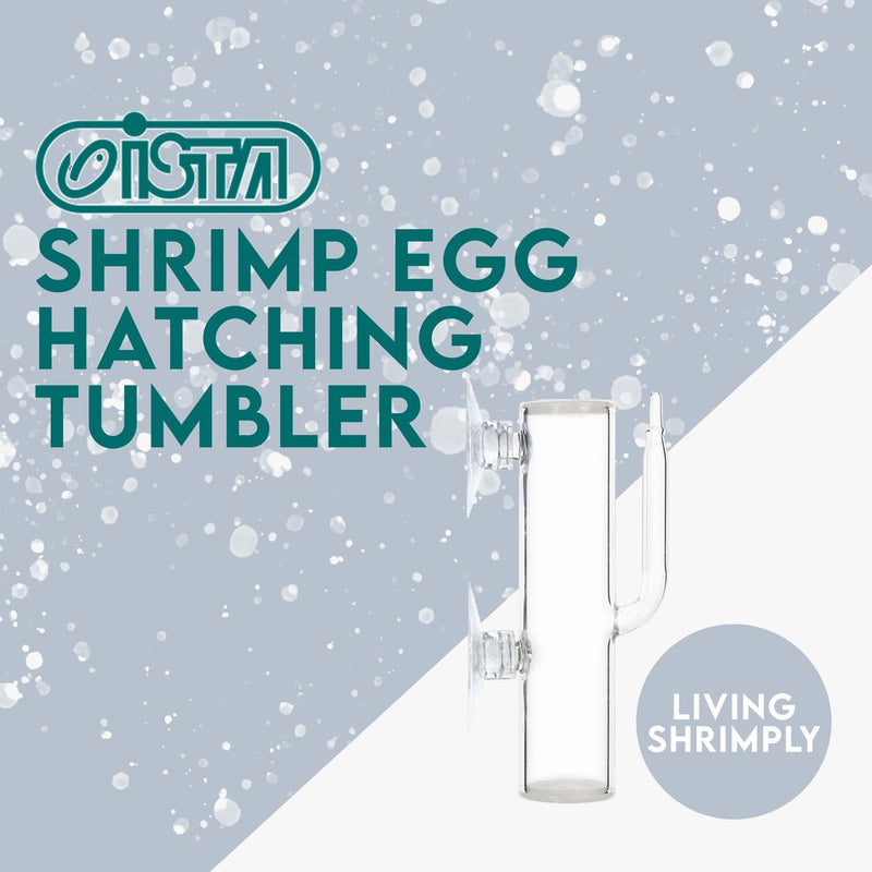 Ista Shrimp Egg Hatching Tumbler