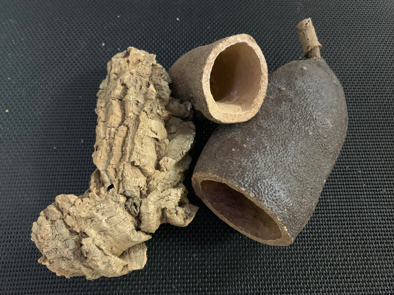 Jurassic Bioactive Jetoba Pods with cork