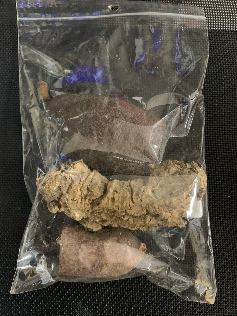 Jurassic Bioactive Jetoba Pods with cork