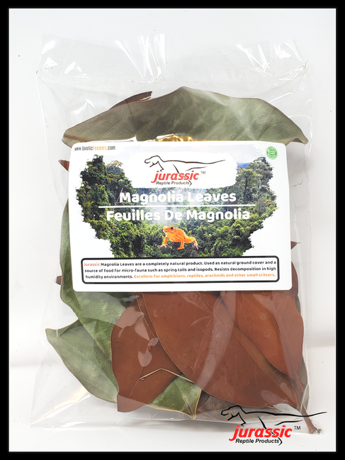 Jurassic Premium Jurassic Magnolia Leaves Leaf Litter