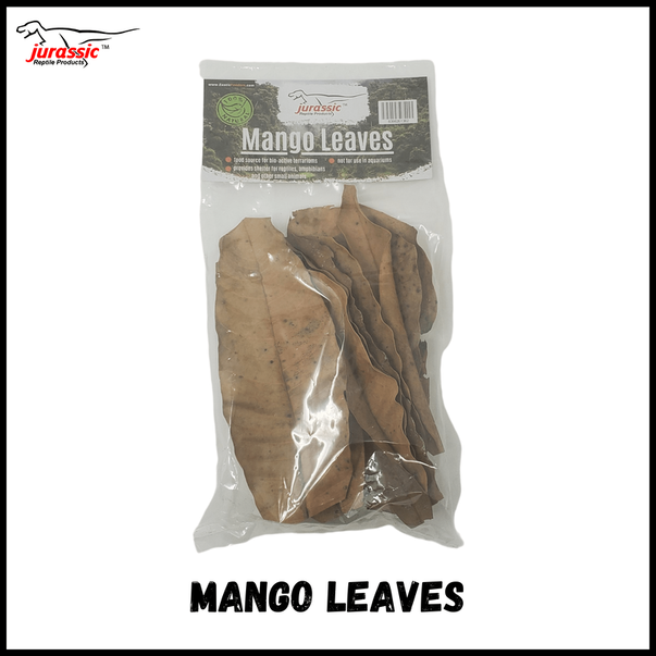 Jurassic Premium Mango Leaf Litter