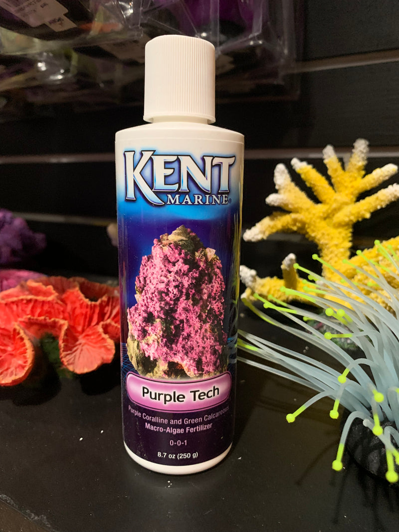 KENT MARINE Purple Tech - 8.7 fl oz