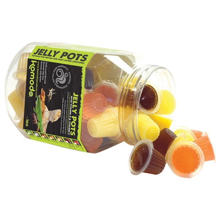 Komodo Jelly Pots assorted random flavor singles