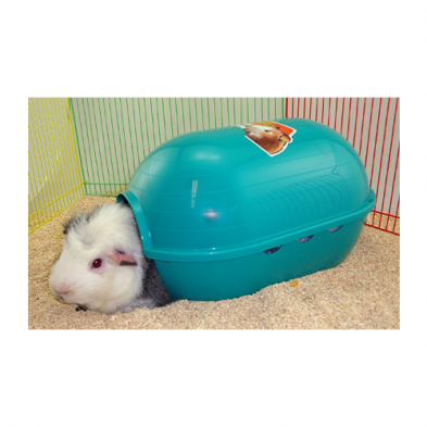 LIXIT GUINEA PIG Rody IGLOO