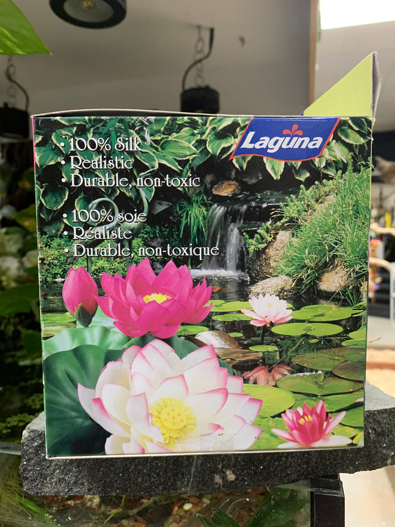 Laguna Exotic Tropical Silk Lotus floating plant