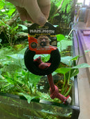 MAMMOTH TIREBITER II with rope - Small 3.75"