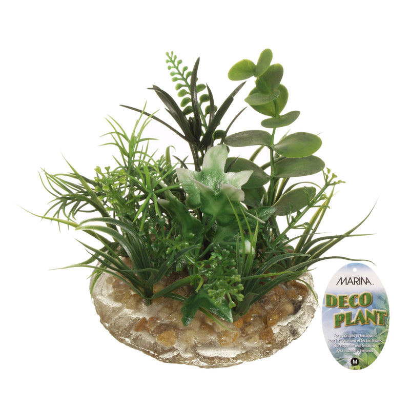 Marina Deco Plant Ornament - Medium - 8.9 cm (3.5 in)