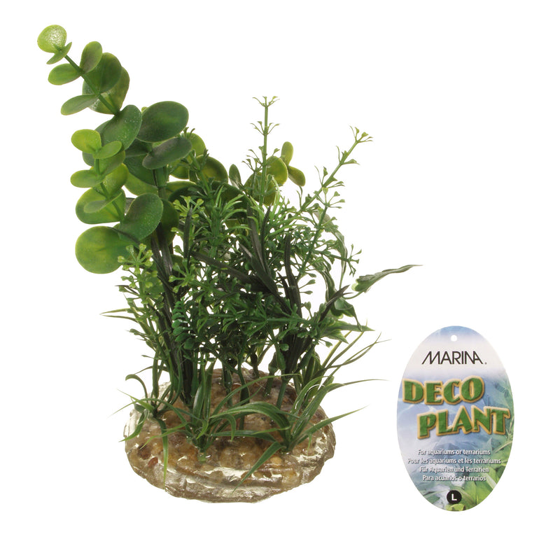 Marina Deco Plant Ornament - Large - 17.8 cm (7 in)