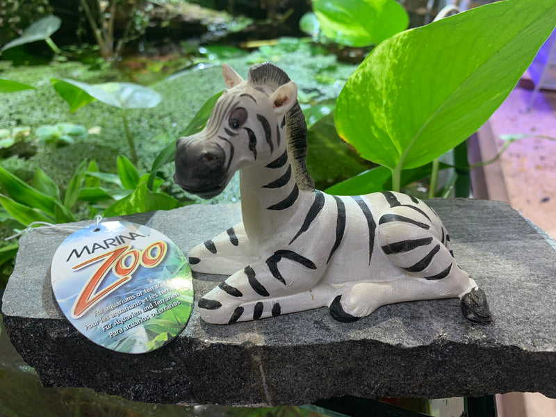 MARINA Zoo Ornament Zebra for Aquarium or Terrarium