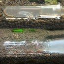 NAG Catch Pen Seed Shrimps Plannaria Plant Worm Trap Glass Tube Catcher