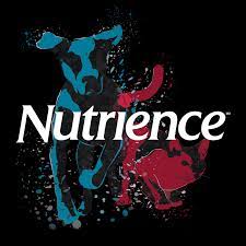 Nutrience Infusion Pâté with Angus Beef - 170 g (6 oz)