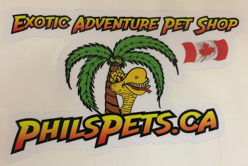 Phils Pets Indoor/Outdoor window sticker