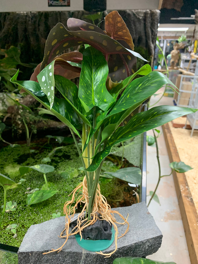 Polka Dot Syngonium weighted silk plant