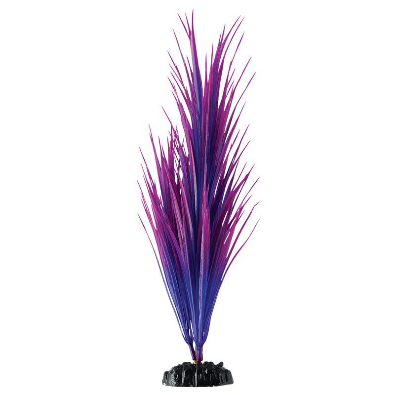 Purple Nile Grass - 11.75"