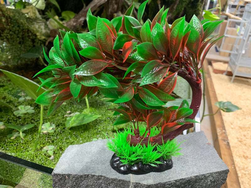 Red Ludwigia Bonsai Plastic Plant