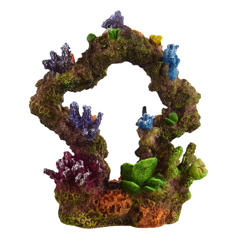 Reef Archway 7"x 4"x 8"